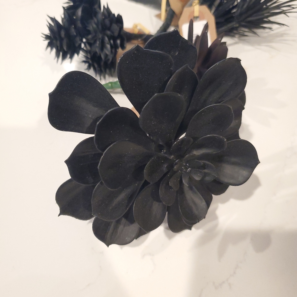 Set of 5 Black Suculants - Picture 6 of 6